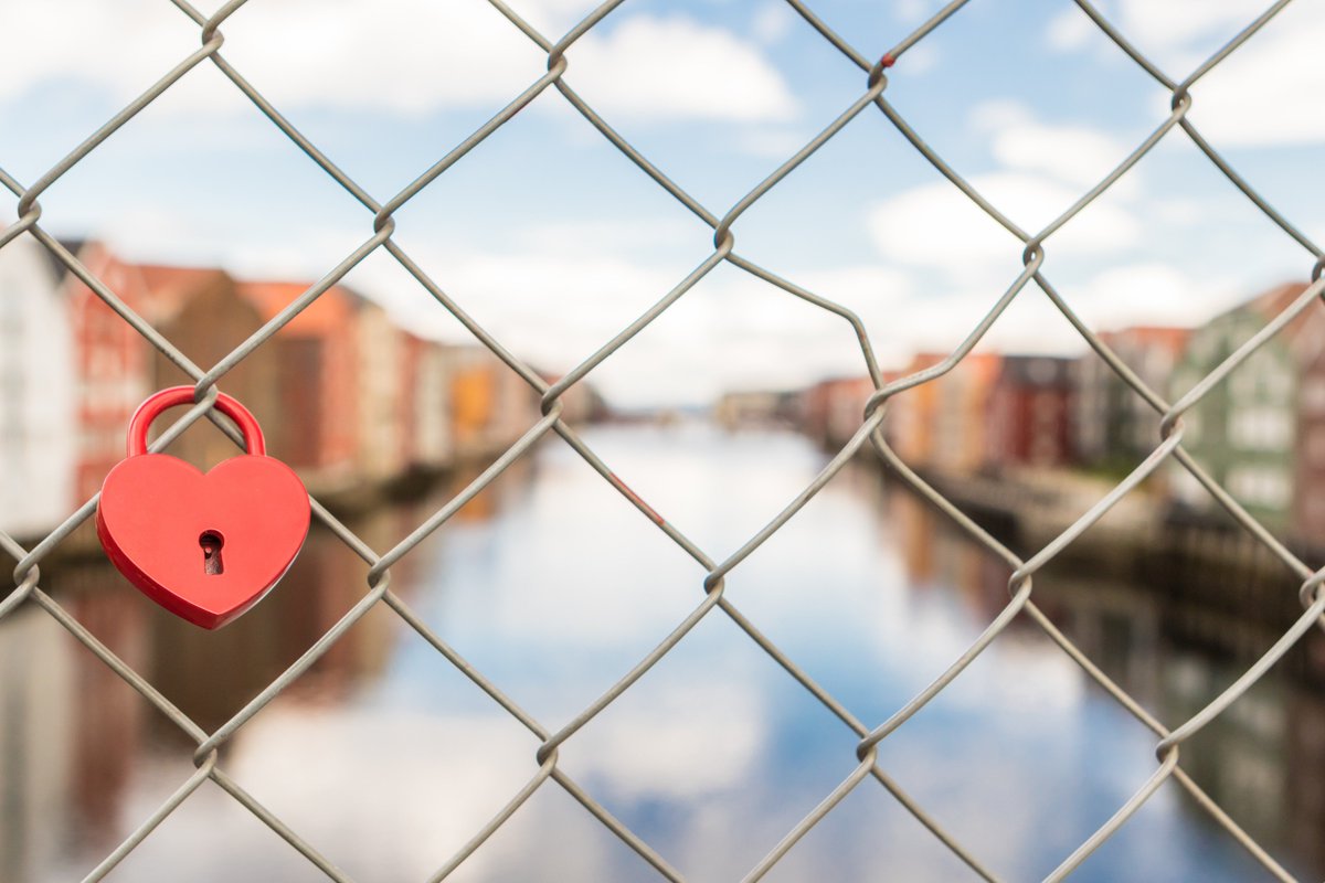 In het tijdsbestek van een dag behandelen we de inhoud en de gevolgen van de privacywetgeving voor de personeelspraktijk. Meld je nu aan voor onze cursus: vijverbergadvocaten.nl/juridische-cur… #avg #privacywetgeving