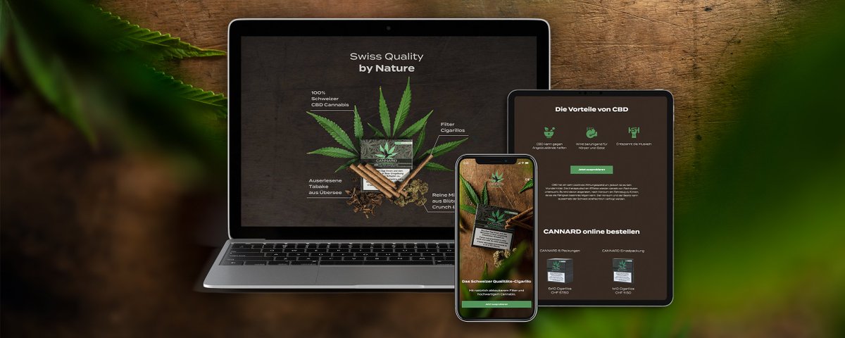 olaiinteractive's tweet image. Wir sind auch in der @werbewoche ! Vielen Dank für die Veröffentlichung :-)
werbewoche.ch/digital/2019-1…