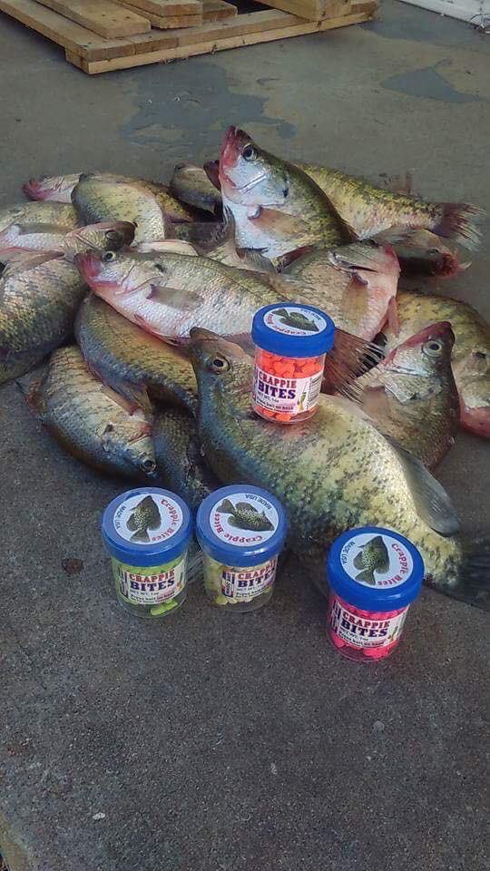 Magic Bait Co. tweet media