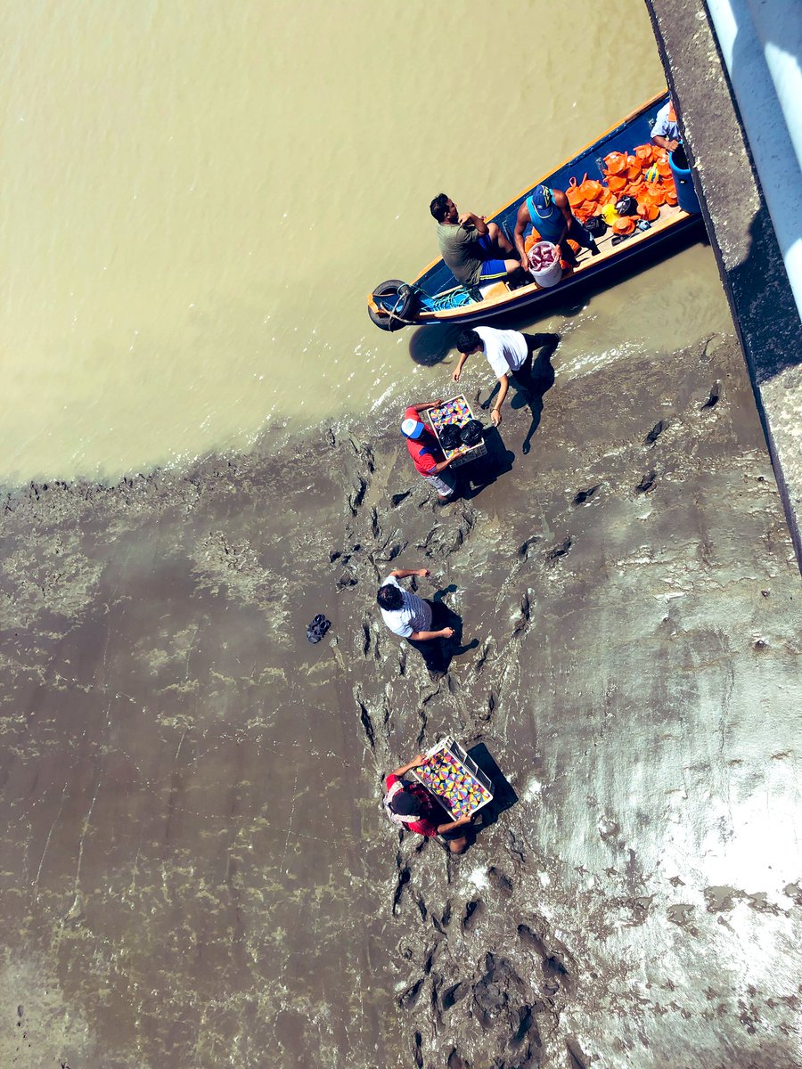 Trabajo en la Isla Mocoli
La Sra q nos trae el almuerzo reside en Duran 
Hoy no pudo pasar por las protestas 
Pero ella busco la manera de traernos el almuerzo 
Los trajo por Canoa hasta el puente de Mocoli 
👏🏼👏🏼👏🏼👏🏼👏🏼