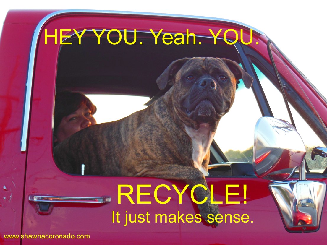 RecycleNptshire's tweet photo. Happy Hump Day Northamptonshire, do as the dog says! #ReduceReuseRecycle #RightStuffRightBin #ItsInOurOwnHands https://t.co/pr2bbMsf7K