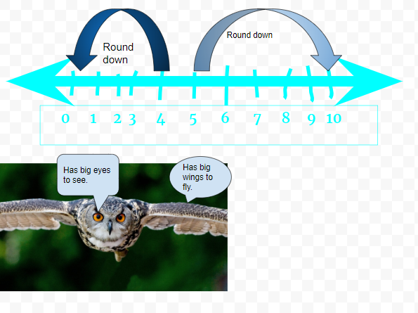 djdaverave's tweet photo. Third graders @PembertonElementary used Google Drawings to create charts and diagrams (English SOL 3.6c) about rounding (Math SOL 3.1b) and animal adaptations (Science SOL 3.4) https://t.co/ixPXR1oKKa https://t.co/JXUhWNtuAS