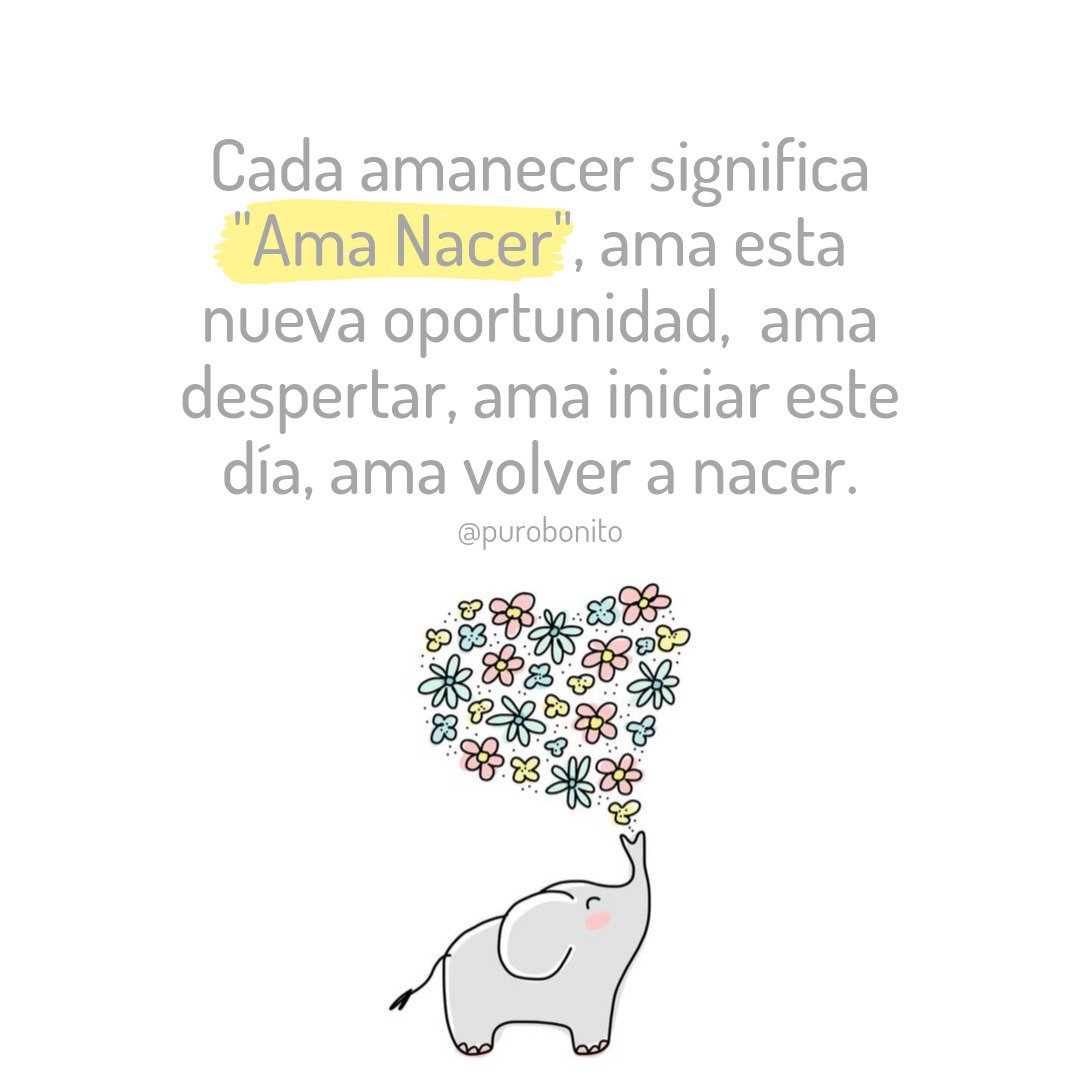 PuroBonito's tweet photo. Cada vez que despiertes, recuerda que la esencia de la vida es amar en cada momento, es eternamente darnos la oportunidad de inspirar las cosas buenas y dejar ir lo negativo... Cada día, haz como el SOL y AMA NACER. #PuroBonito ✨💛 https://t.co/rl97YqOOH6