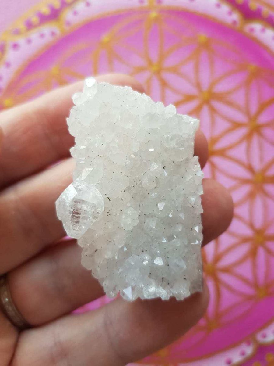 Mojolistic1's tweet photo. Apopphyllite Cluster 5cm https://t.co/P7dePNWv0H https://t.co/uzBEF3WXji