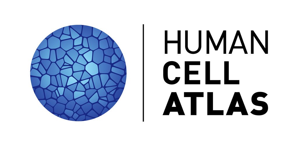 humancellatlas's tweet image. The international #HumanCellAtlas General Meeting is starting tomorrow, October 10 - 11, 2019. See full agenda here: bit.ly/2VfbxxB. Talks and breakout sessions will be livestreamed at bit.ly/2ARZj4S