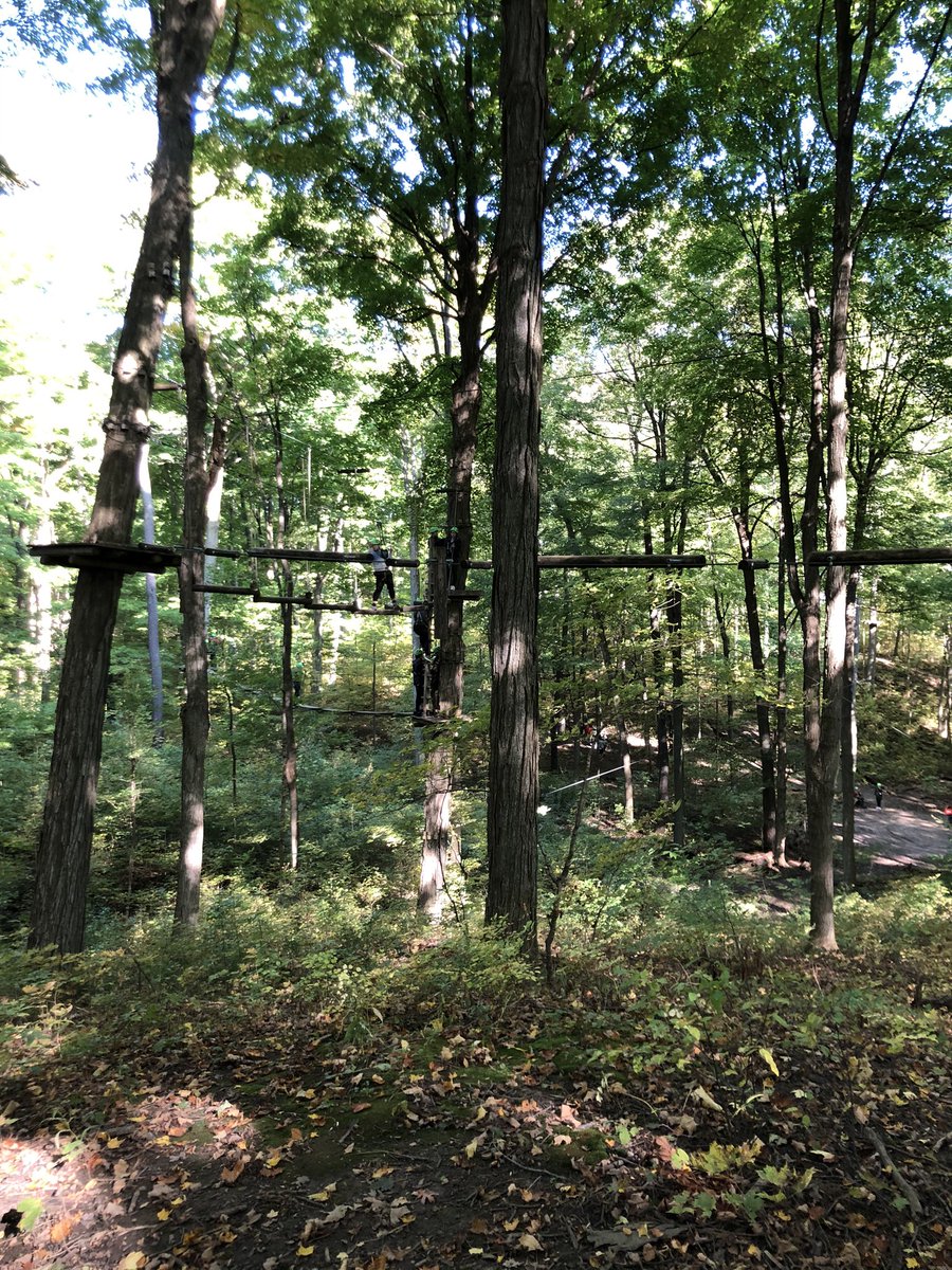 horricksphysed's tweet photo. Saints in the trees! Always a highlight for @SDCISaints Phys Ed classes - our fall trip to @bolermountain for the Treetop Adventure Course! Thanks to @TVDSB Outdoor Ed for making it happen! #outdooreducation #lifelongphysicalactivity https://t.co/SYFwzBTQ9u