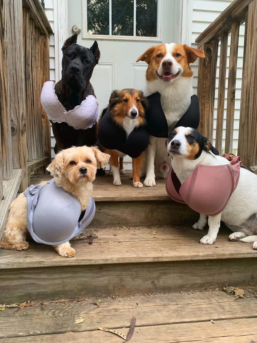 We can’t cope with the cuteness in this picture😱
Text ‘UBTHALLAM’ to 70500 for your free monthly text reminder📱
#uniboobteam #ubtsheffieldhallam #sheffieldhallam #coppafeel #coppafeelpeople #checkyourbreasts… instagram.com/p/B3ZodcUHe6J/…