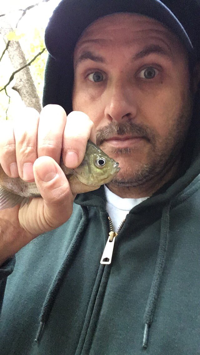 AndyWadeKY's tweet photo. #CreekFishing @RebelLures #CatchFishAnywhere @Lews_Fishing #Bass #Bluegill https://t.co/ZrYXnyKHI4