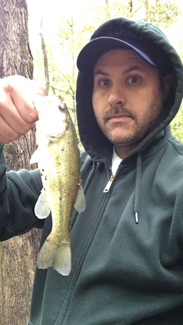 AndyWadeKY's tweet photo. #CreekFishing @RebelLures #CatchFishAnywhere @Lews_Fishing #Bass #Bluegill https://t.co/ZrYXnyKHI4