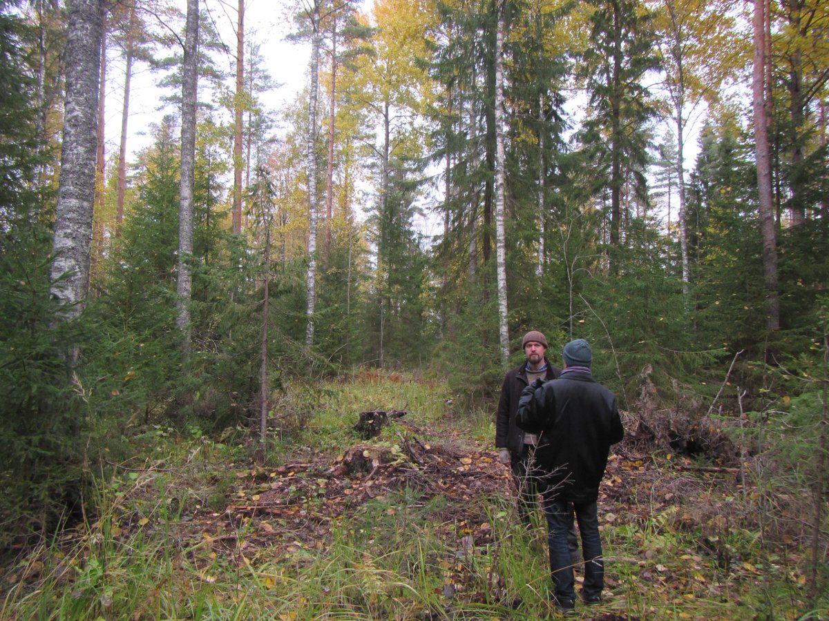 Talousmetsä näyttää hakkuun jälkeen näin monimuotoiselta, vaikka puuta korjattiin 120 m3/ha. Metsän #jatkuvakasvatus tarjoaa #metsänomistaja'lle taloudellisesti houkuttelevan #metsänhoito'tavan ja ympäristöhyödyt ovat merkittävät. Jussi Saarinen esittelee #YhteismetsäTuohi tilaa.