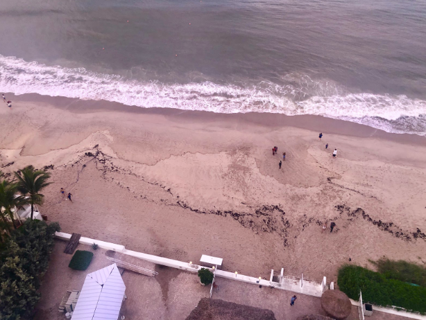 Oceans teach you to go with the flow. Hurricanes force you to. 

Our high tide from Dorian.