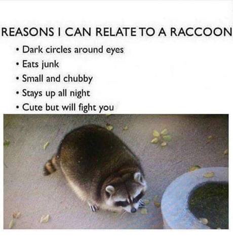 Bad_AssRoman's tweet photo. This is me 24/7 😎 https://t.co/Gzd1Mt6LX9