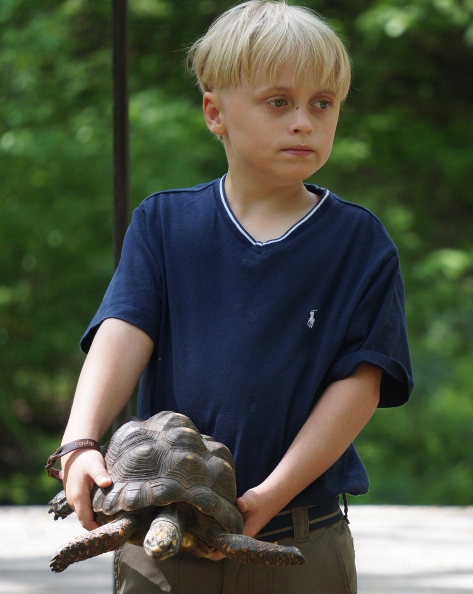 The Rock Ranch tweet media