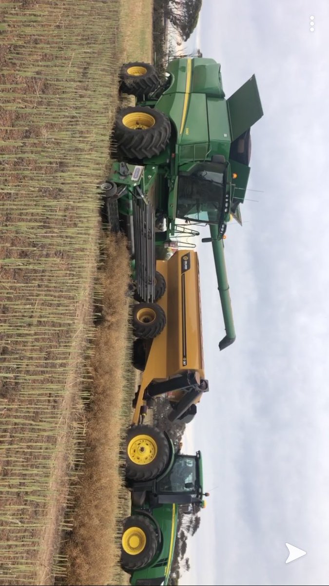 stuart_hocking's tweet image. Earliest we have ever started harvest. Still not booking December holiday #southcoastwa