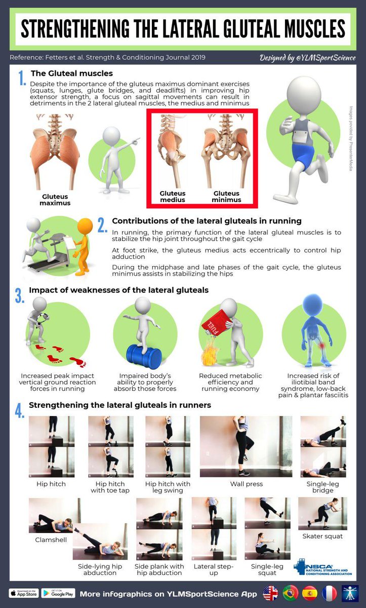 This infographic highlights a study that explores the role of the lateral gluteal muscles and its impact on runners.

Click here to read the full article >>> fal.cn/34ocj

#nscastrong