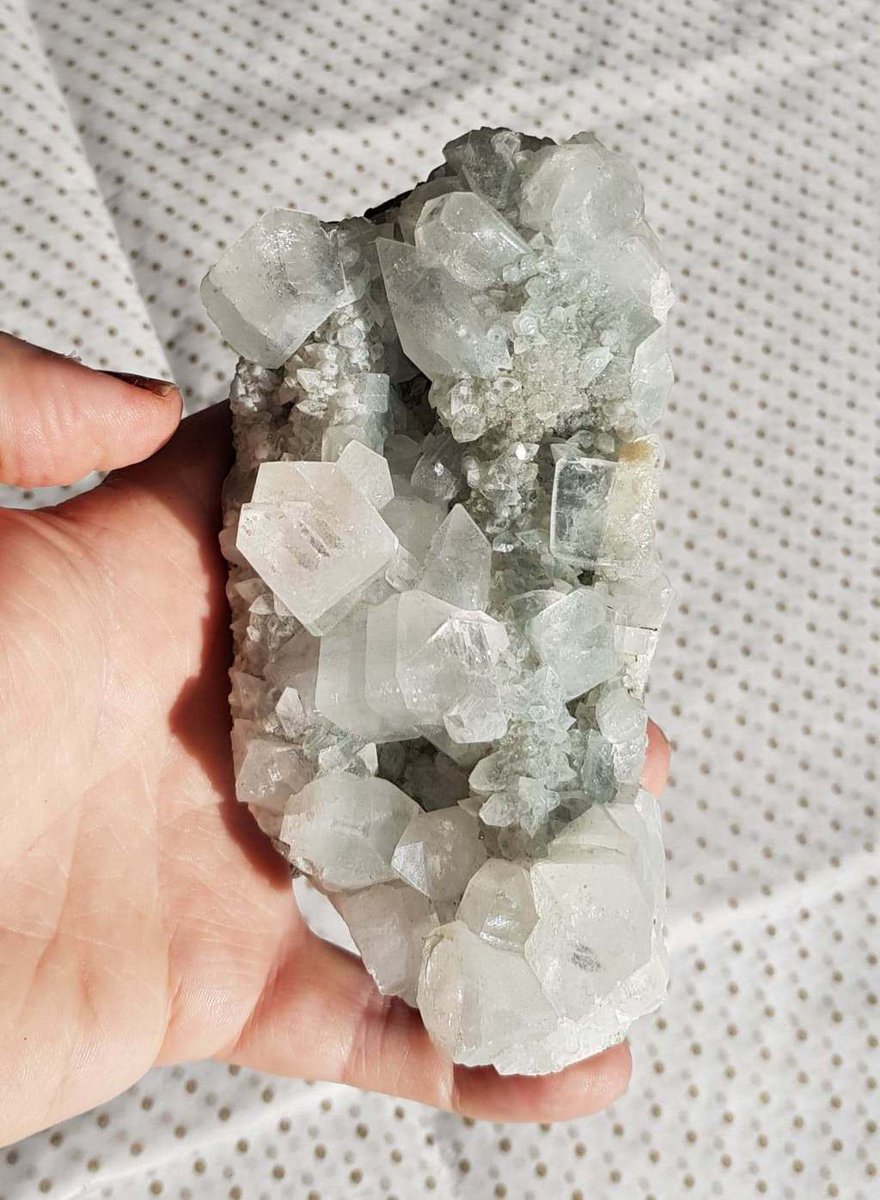 Mojolistic1's tweet photo. Apophyllite Cluster https://t.co/Y32BURJyED https://t.co/F95qk32MSo