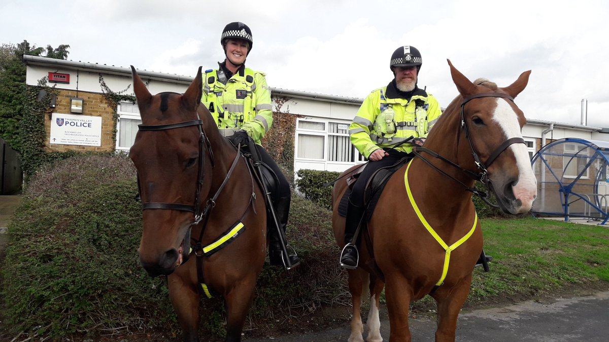 TVP_Oxfordshire's tweet photo. #TVP_Horses Loki &amp; Luna are assisting the Neighbourhood Police Team on patrols in #BlackbirdLeys, feel free to stop &amp; say hello or report anything you feel may be happening/about to happen. Remember intelligence is key! #Visibility #JointOperations #C6772 https://t.co/jjty0fQNMb