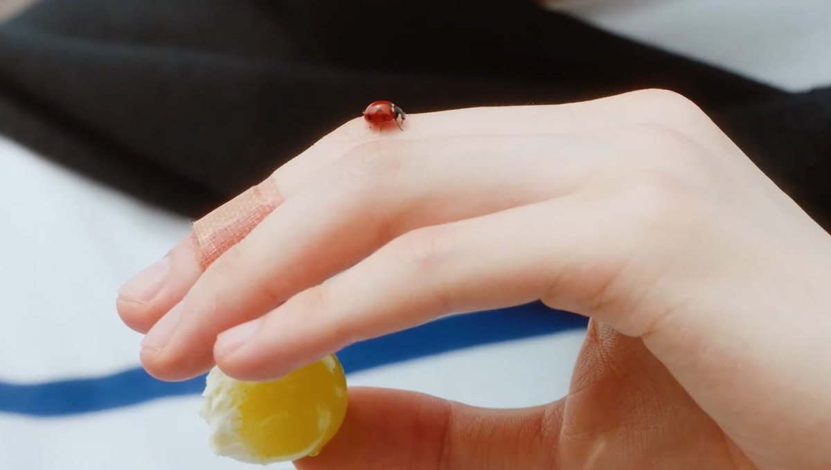 초속 5센티미터 tweet media