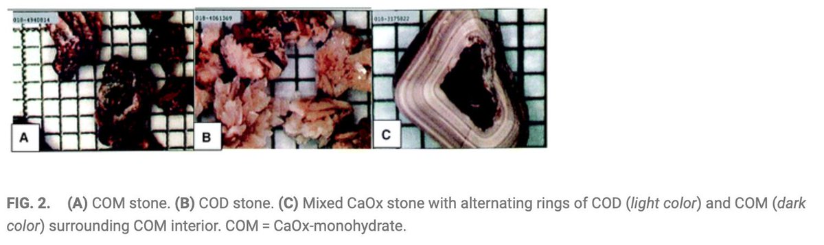 Jake Bamberger tweet media