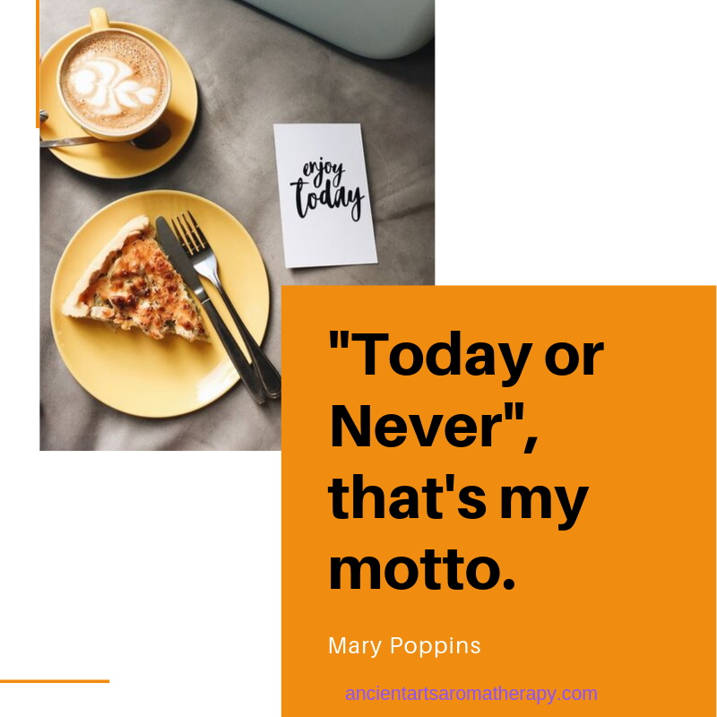 AAAromatherapy's tweet photo. Wednesday Wisdom Quote
.
.
#quote #wednesdaywisdom https://t.co/bXD6ASnceL