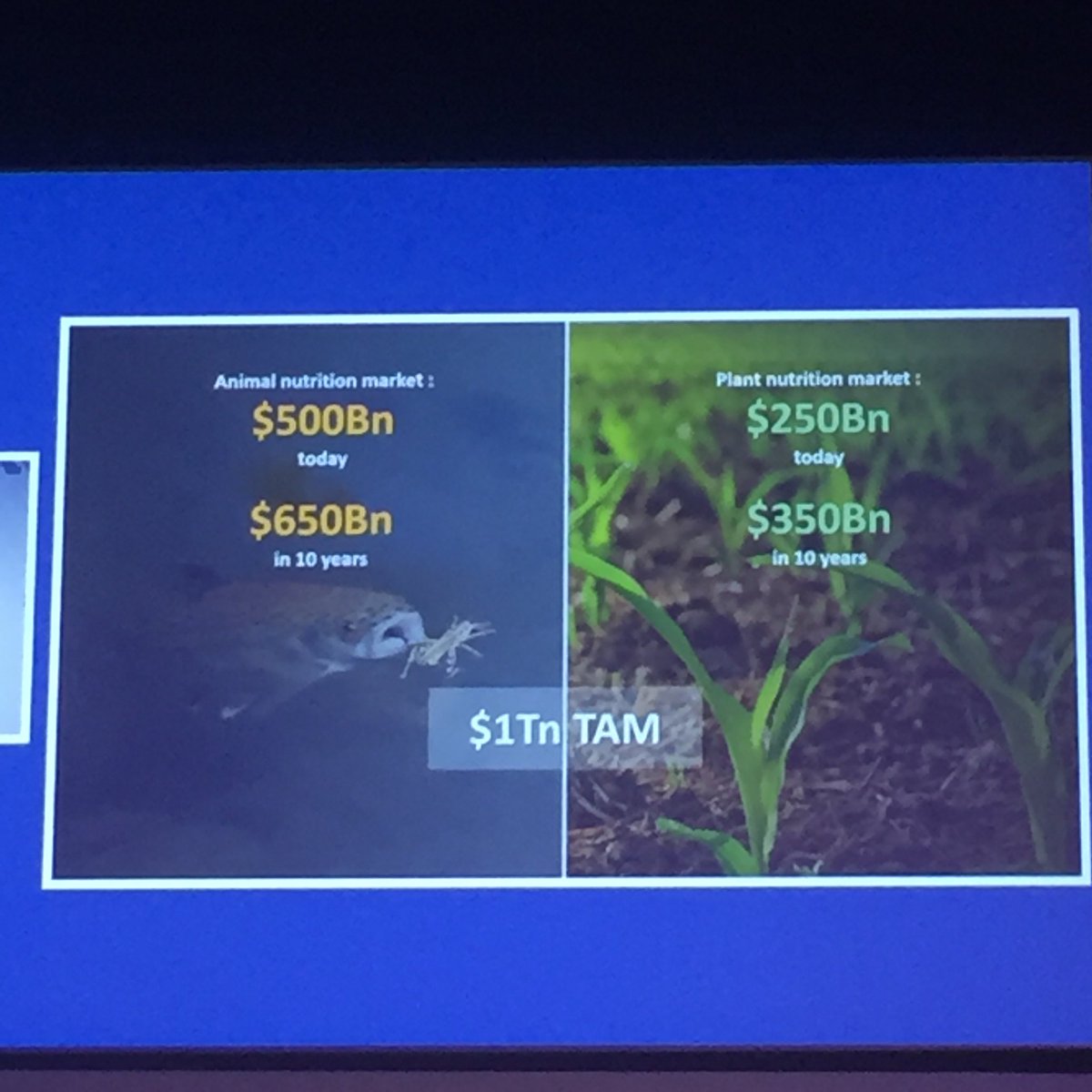 Dominique Taste tweet media