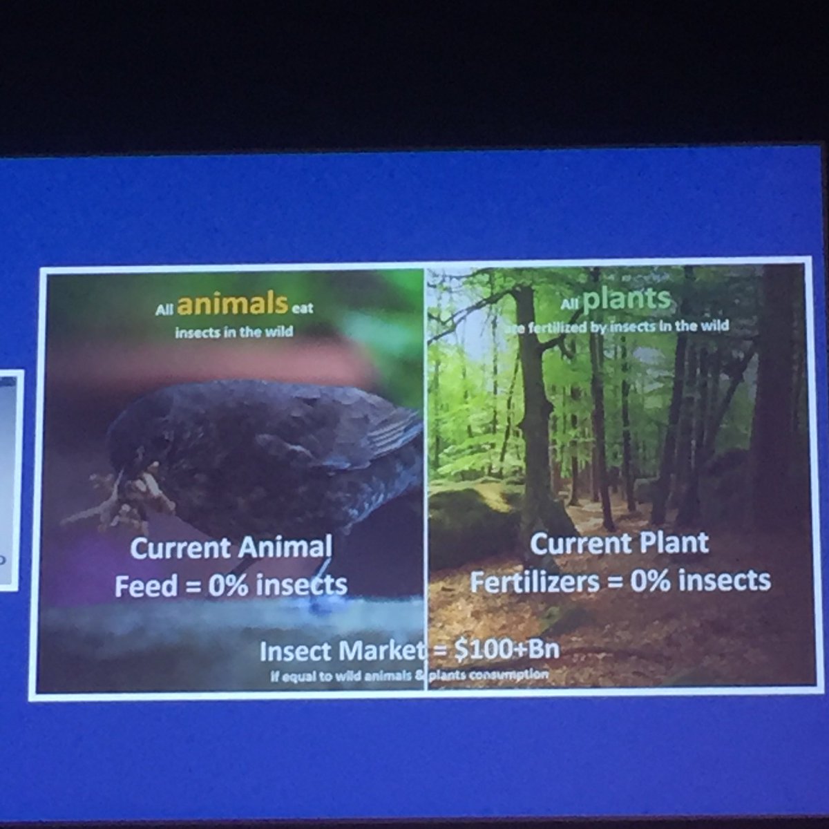 Dominique Taste tweet media