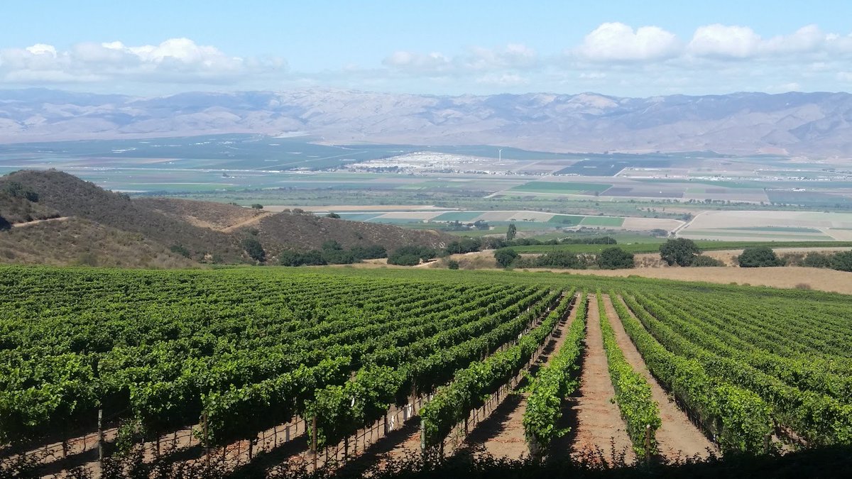 Stacy Slinkard tweet media