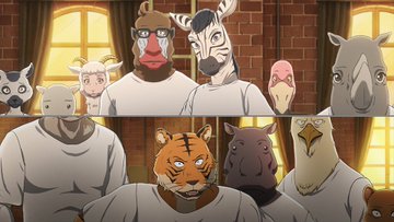 Beastarsテム食殺事件犯人はヒグマのリズ ネタバレやレゴシとの決闘も ビースターズ アニシラ