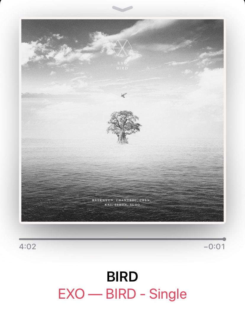 do_atama's tweet photo. もっとバラードバラードしてる曲調を想像してたけど、思ったよりもミディアムバラードだった( ◜◡◝ )
明後日は生で聴けるんですね！めちゃくちゃ楽しみ🕊💗💗
(おてふんちゃんのソロはどこですかな？)

#EXO_BIRD https://t.co/kmtHKruT17