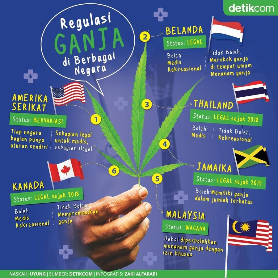 Malaysia berencana memberi izin khusus bagi warganya untuk menanam ganja dengan tujuan pengobatan. Sejumlah negara sudah lebih dulu melakukannya. Mana saja? detik.id/6abJy3
#Ganja 

via <a href="/detikHealth/">detikHealth</a>