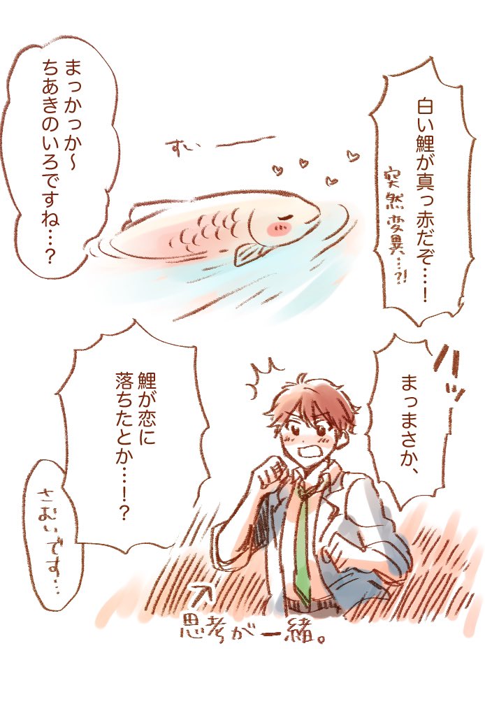 鯉に落ちた 