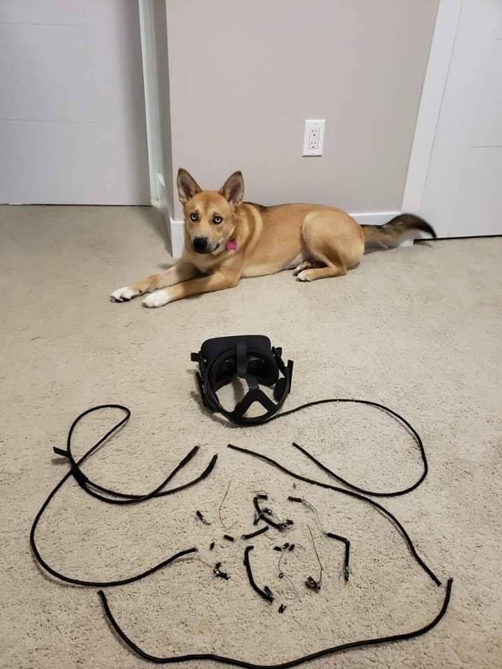 The Cooking Game VR tweet media