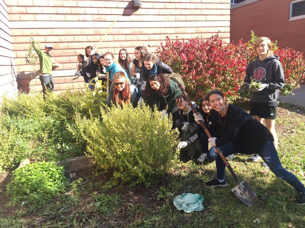 eci_IMPACT's tweet image. Can you spot Mr.Kasper? Not yet, but you will once IMPACT is done weeding.