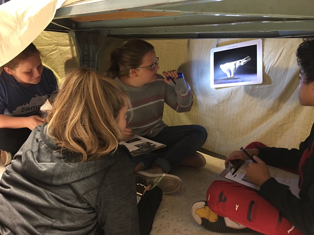 mcmsjwhitehead's tweet photo. Social Scientists investigating Cave Art to learn about the past. https://t.co/Tei5Dday2z