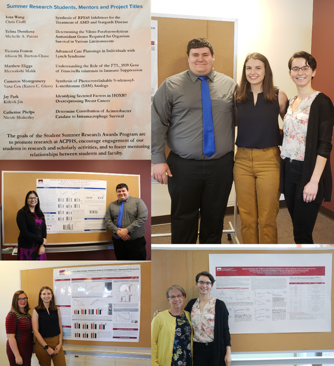 ACPHSMicro's tweet photo. Three of our B.S. Micro students received Summer Student Research Awards to spend their summer at ACPHS. Matt Higgs, Catherine Phelps, and Yelena Dunikova presented their research at the Fall Student Awards Day this month.
#acphsmicro #undergraduateresearch #acphs #microbiology https://t.co/emPWfTgCrN