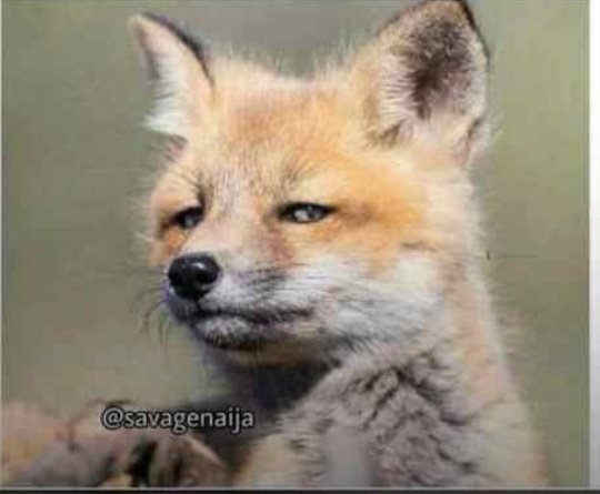 thegram__'s tweet photo. Dear crush, are you going to crush back or you want me to handle it traditionally?? https://t.co/2MvoCi4IQq
