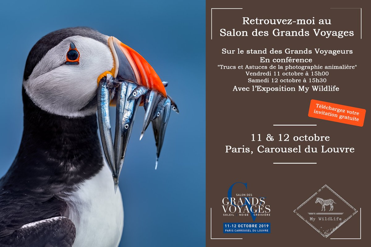 Je participe au Salon des Grands Voyages au Caroussel du Louvre les 11 et 12 octobre avec une exposition, une conférence et ma présence sur le stand des Grand Voyageurs. Téléchargez votre invitation gratuite et passez me voir my-wildlife.com/invitation-sal… 😀