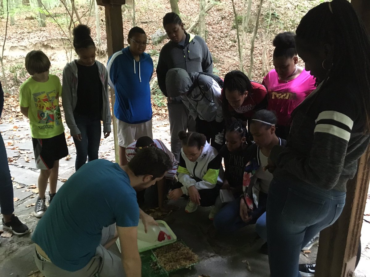 Students enjoying Fernbank Forest- learning about regulating, provisioning ,cultural, supporting aspects of the old growth forest.