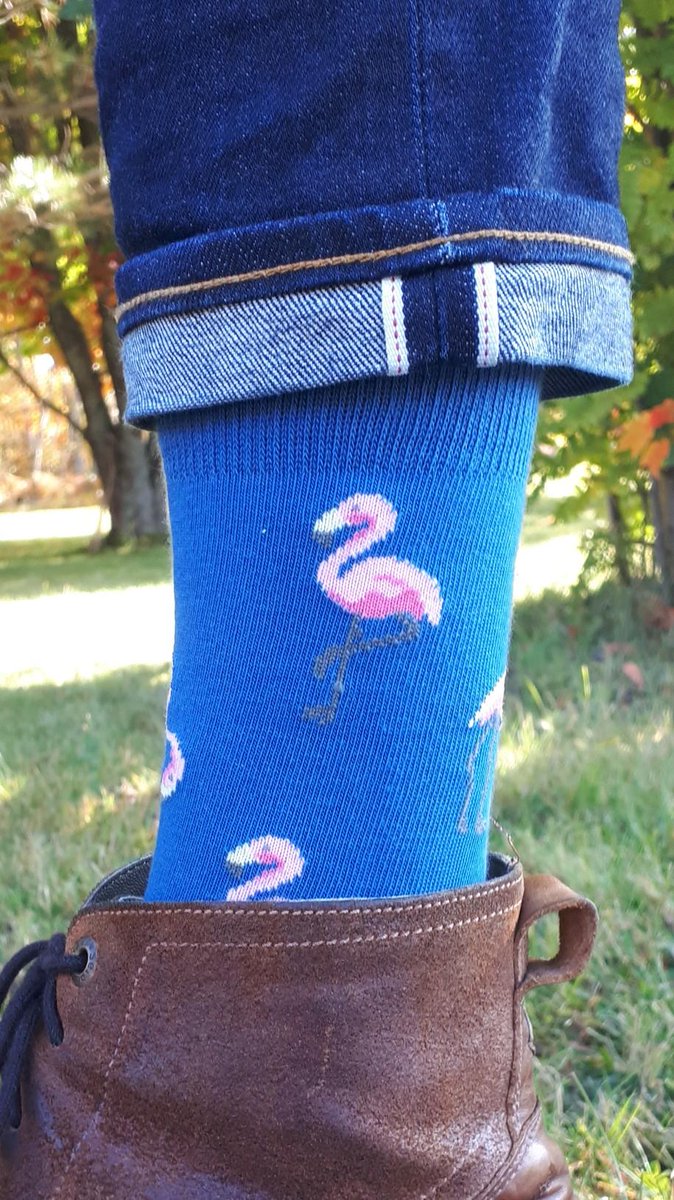 Well, for #WackySockWednesday we had only one entry!! So this week the Flamingos take it!!!!  I think we need more people from the #ECCCfamily to join the fun!!!  What do you say all those tagged and @barbalink @AChangingArctic @AmieBlack13 @amilaods @mae_eccc @Houde_Magali ??