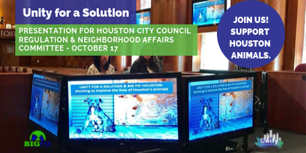 Unity4aSolution's tweet photo. Join us! Thurs., 10/17/19, 10 am. Presentation of #BigFixHouston2019 results to #HoustonCityCouncil Legislative Committee. Open to the public. Support #HoustonAnimals. Details: https://t.co/5lJUGZWlgZ
#Unity4Solutions #TogetherWeCan #EndTheCycle #HoustonAnimals #HoustonRescue https://t.co/hDwGpI9RX5