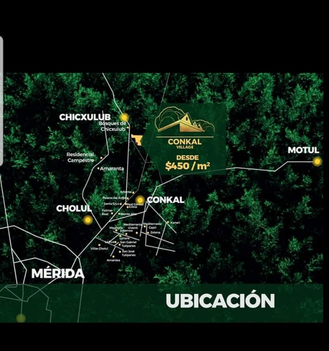 AracellyRavell's tweet photo. Invierte ..Club Celestún el mejor lugar de Yucatán para inevertir...lotes desde $27,500..enganche con mensualidades de $1,000..informes
9992316608 https://t.co/z4BmnViCF6