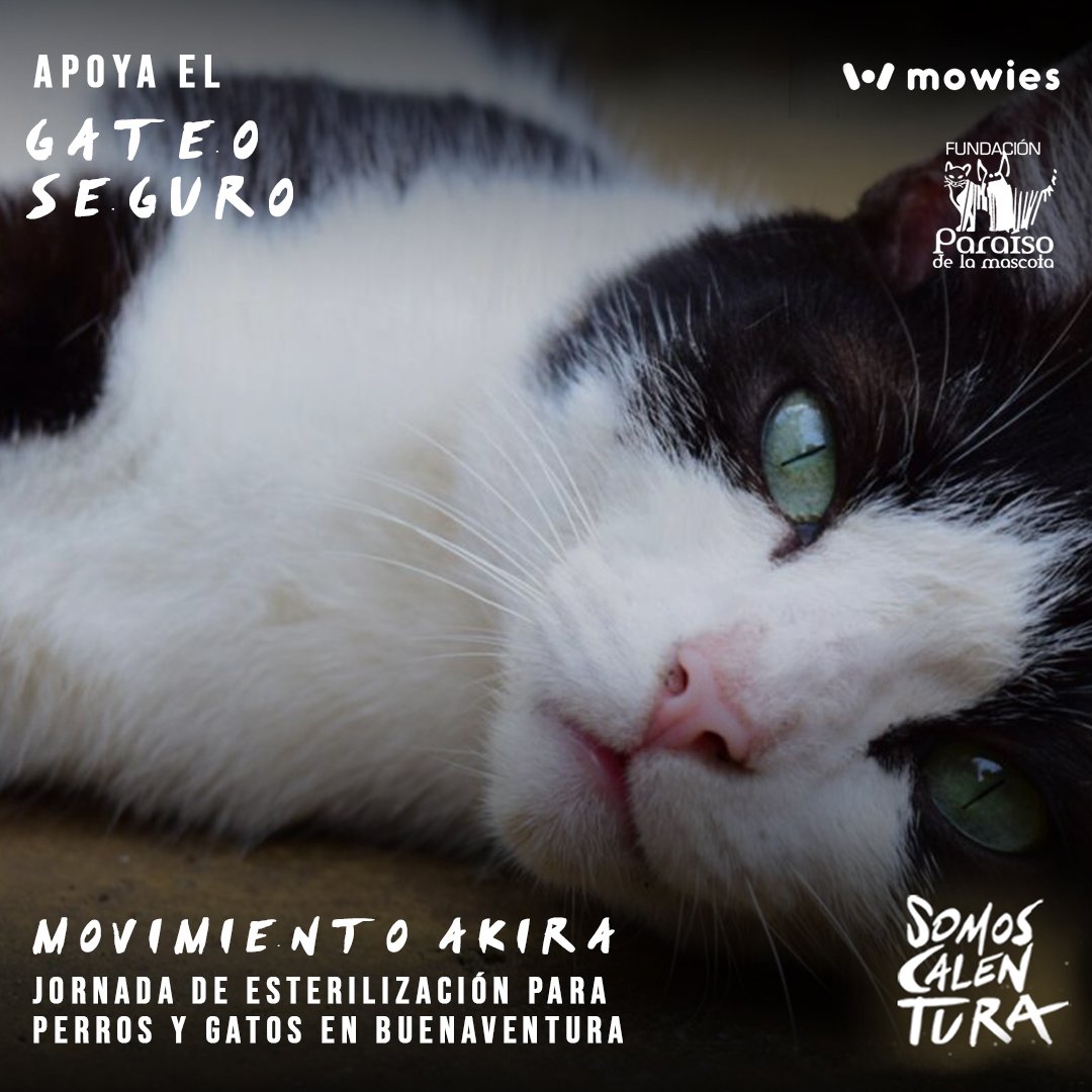 Participa en el negocio del cine, viviendo y compartiendo el poder de la película SOMOS CALENTURA en tus redes.

Link de registro y más información: somoscalentura.mowies.com