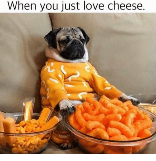 SkeltonCrew's tweet photo. Happy National Moldy Cheese Day! 🧀
Give us ur best #cheesyday joke, pic or embarrassing, cheesy moment & we'll pick two people at random to hook up with some new merch!
"Hope it's a Gouda Wednesday!" #cheesyday https://t.co/gLYBgn66Yu