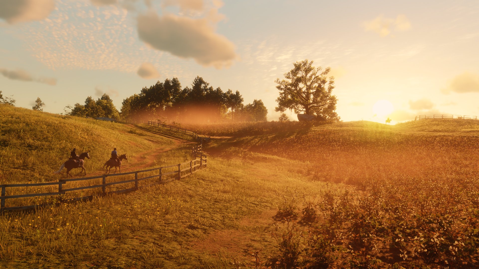 Rockstar confirma Red Dead Redemption 2 para PC com lançamento em novembro  - Multimédia - SAPO Tek