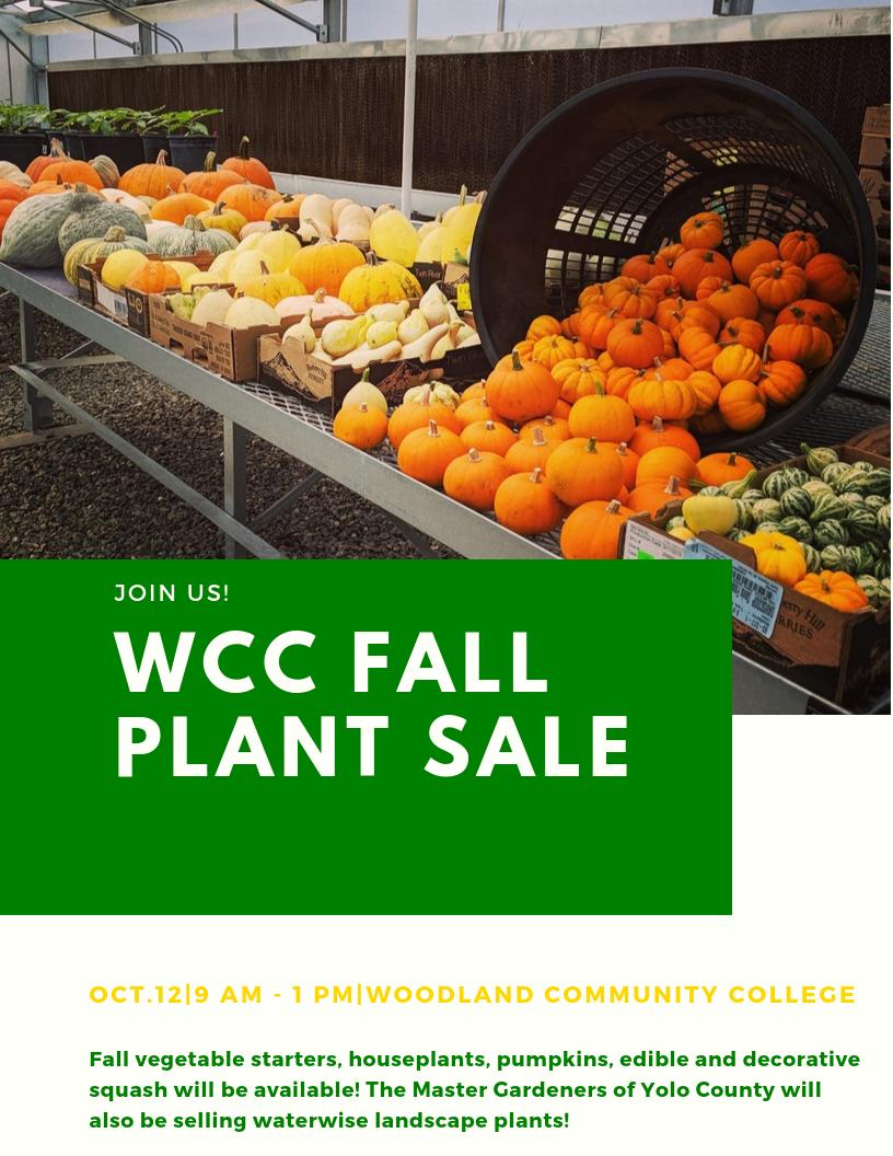 Home to Woodland Community College