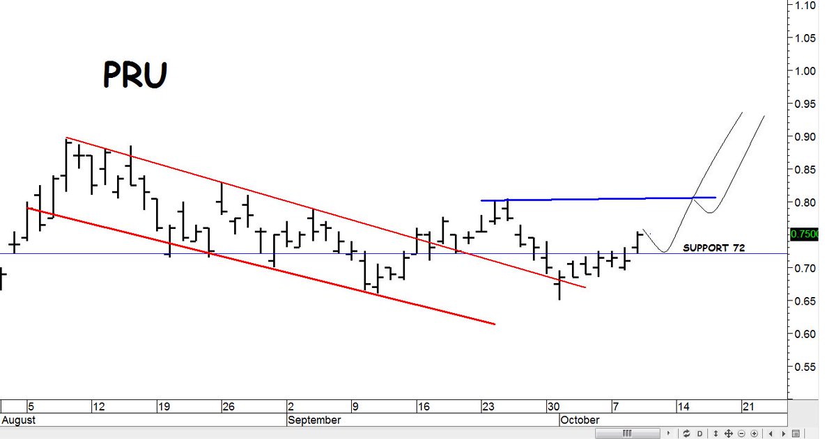 The Great Martis tweet media