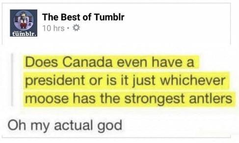 myunclesmemes's tweet photo. King of the meese https://t.co/gKjmrQRFdV
