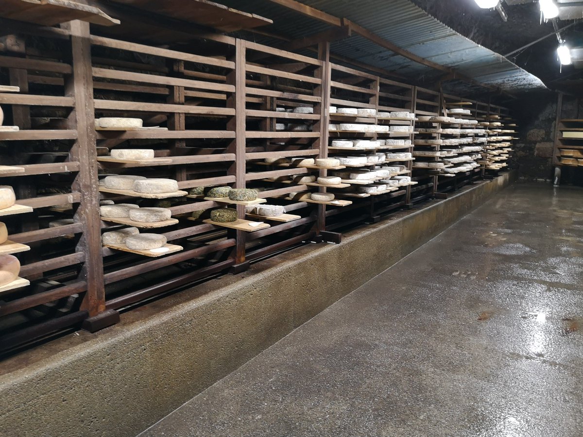 axelrebecq's tweet photo. Passage en cave d'affinage ce matin.
Envoi des #fromages aux crèmeries, soins et préparation de la cave pour maintenir température et humidité https://t.co/Nw9HkOEK04