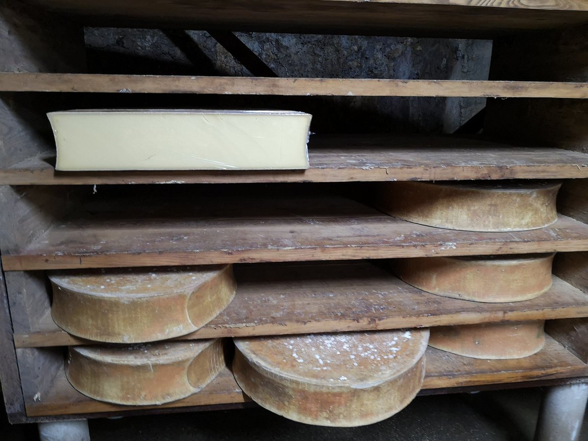 axelrebecq's tweet photo. Passage en cave d'affinage ce matin.
Envoi des #fromages aux crèmeries, soins et préparation de la cave pour maintenir température et humidité https://t.co/Nw9HkOEK04