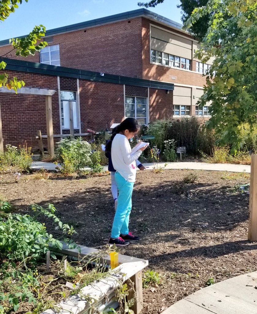 Team 200 started investigating how we can make our garden more inviting to bees in response to colony collapse. They started by exploring our 🐝 's ecosystem. #savethebees #scienceforchange @LynbrookES_FCPS